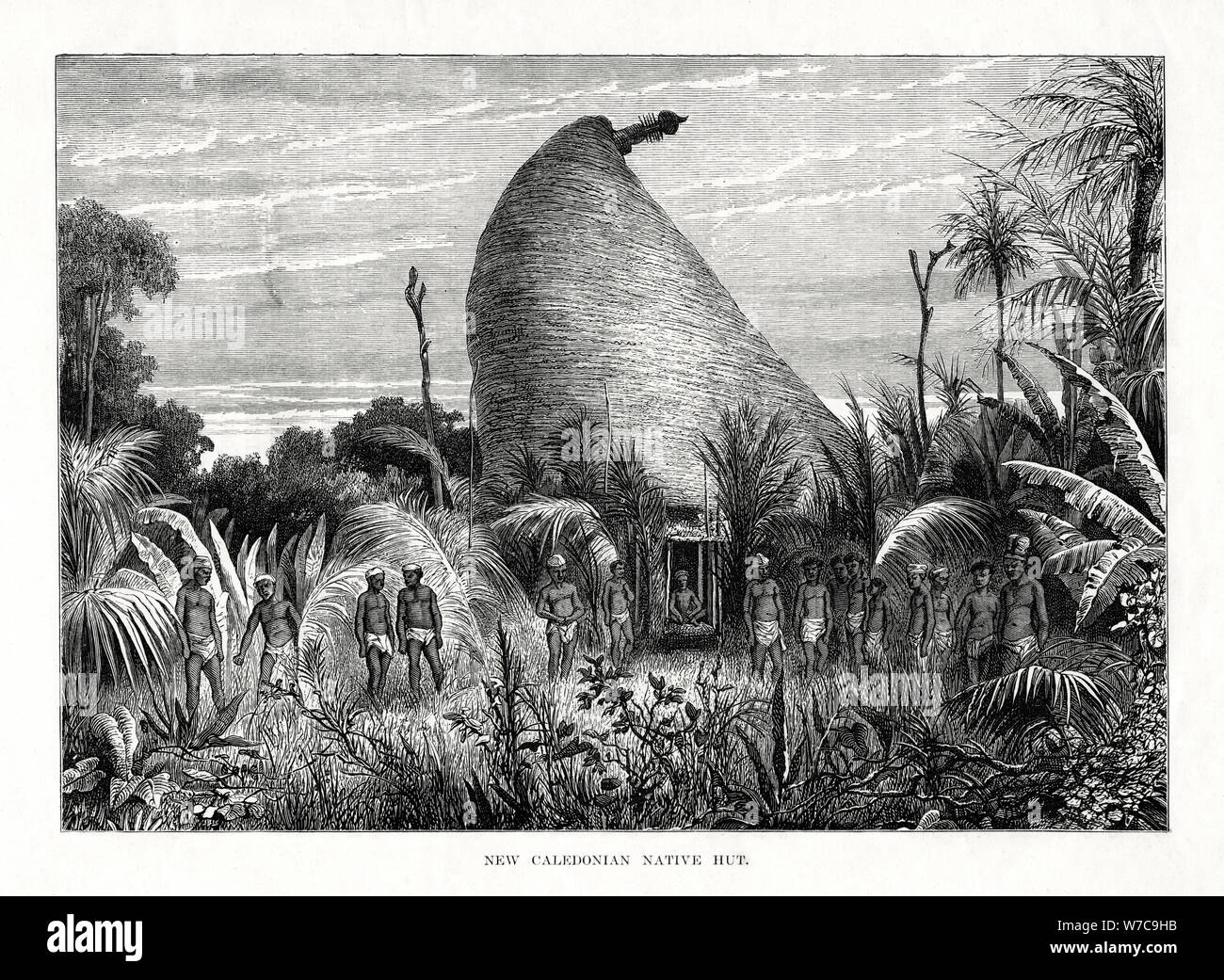'New Caledonian hutte', Pacifique Sud-Ouest, 1877. Artiste : Inconnu Banque D'Images