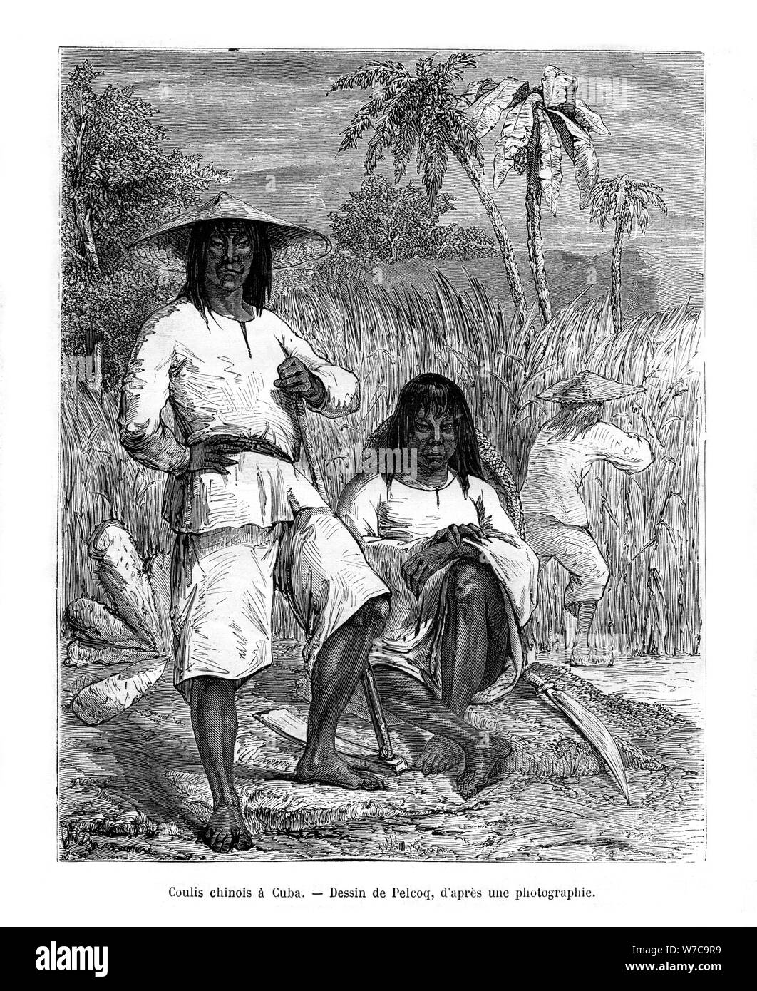Les travailleurs chinois, Cuba, 19e siècle. Artiste : Pelcoq Banque D'Images