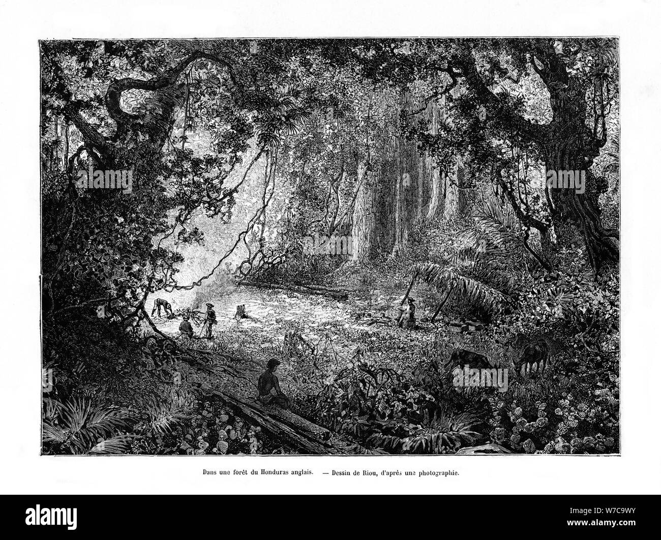 Edouard riou Banque de photographies et d’images à haute résolution - Alamy