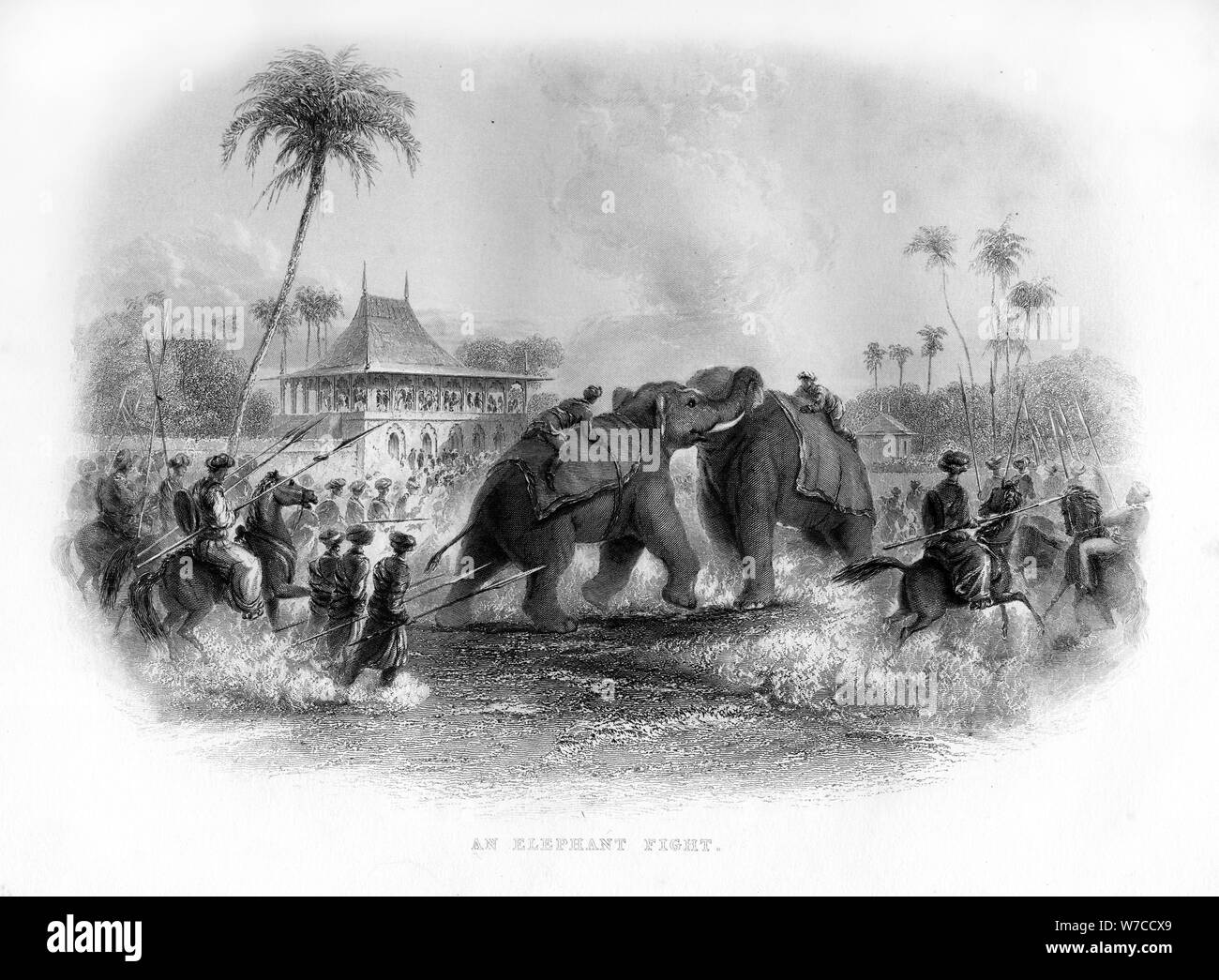 Une lutte de l'éléphant, l'Inde, 19e siècle. Artiste : Inconnu Banque D'Images