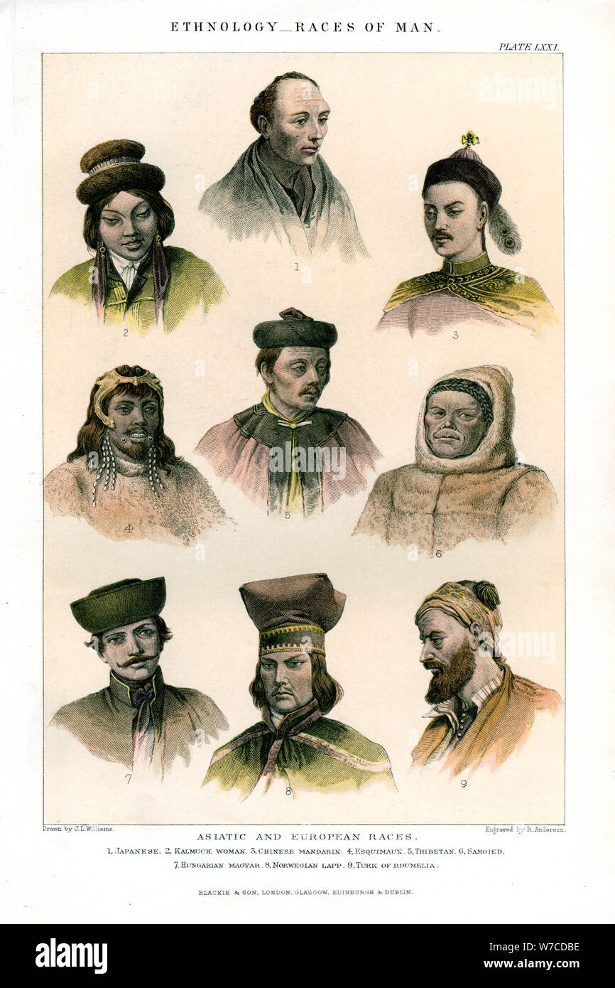 'Ethnologie, courses de l'homme', 1800-1900.Artist : R Anderson Banque D'Images
