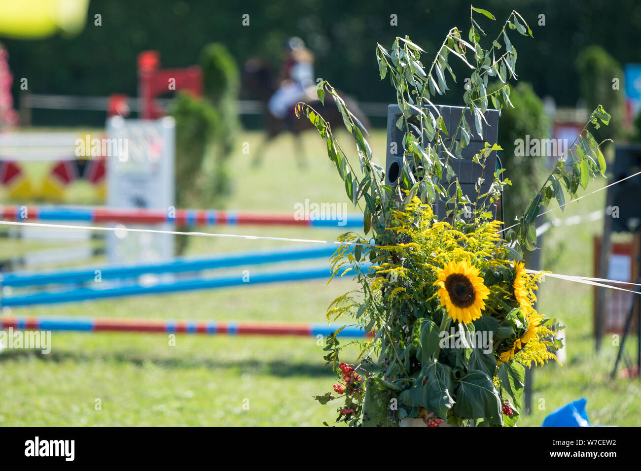Pferdesporttage Deisswil - fleurs en face d'une scène équestre floue avec un cours de saut et d'un rider en action Banque D'Images