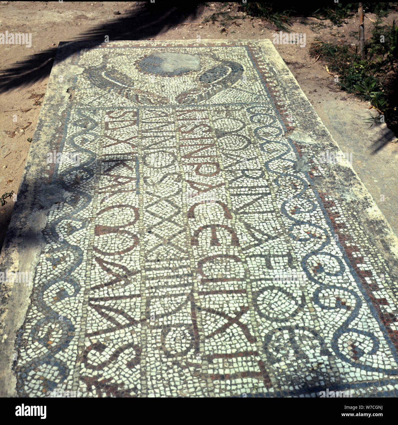 Mosaic conservés dans les ruines de Carthage en Tunisie. Banque D'Images