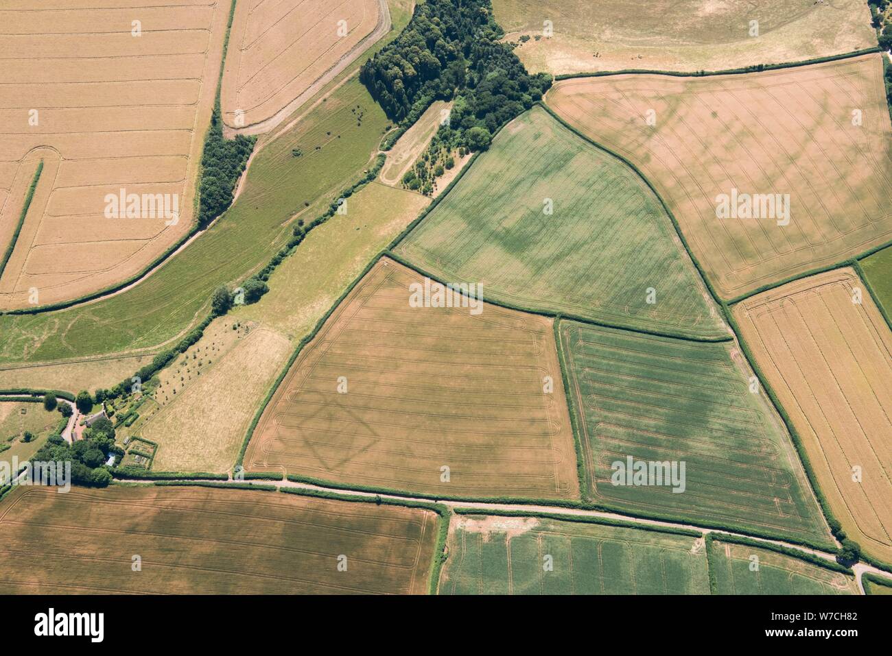 Fermes préhistoriques, Stogumber, Somerset, 2018. Créateur : Angleterre historique photographe personnel. Banque D'Images