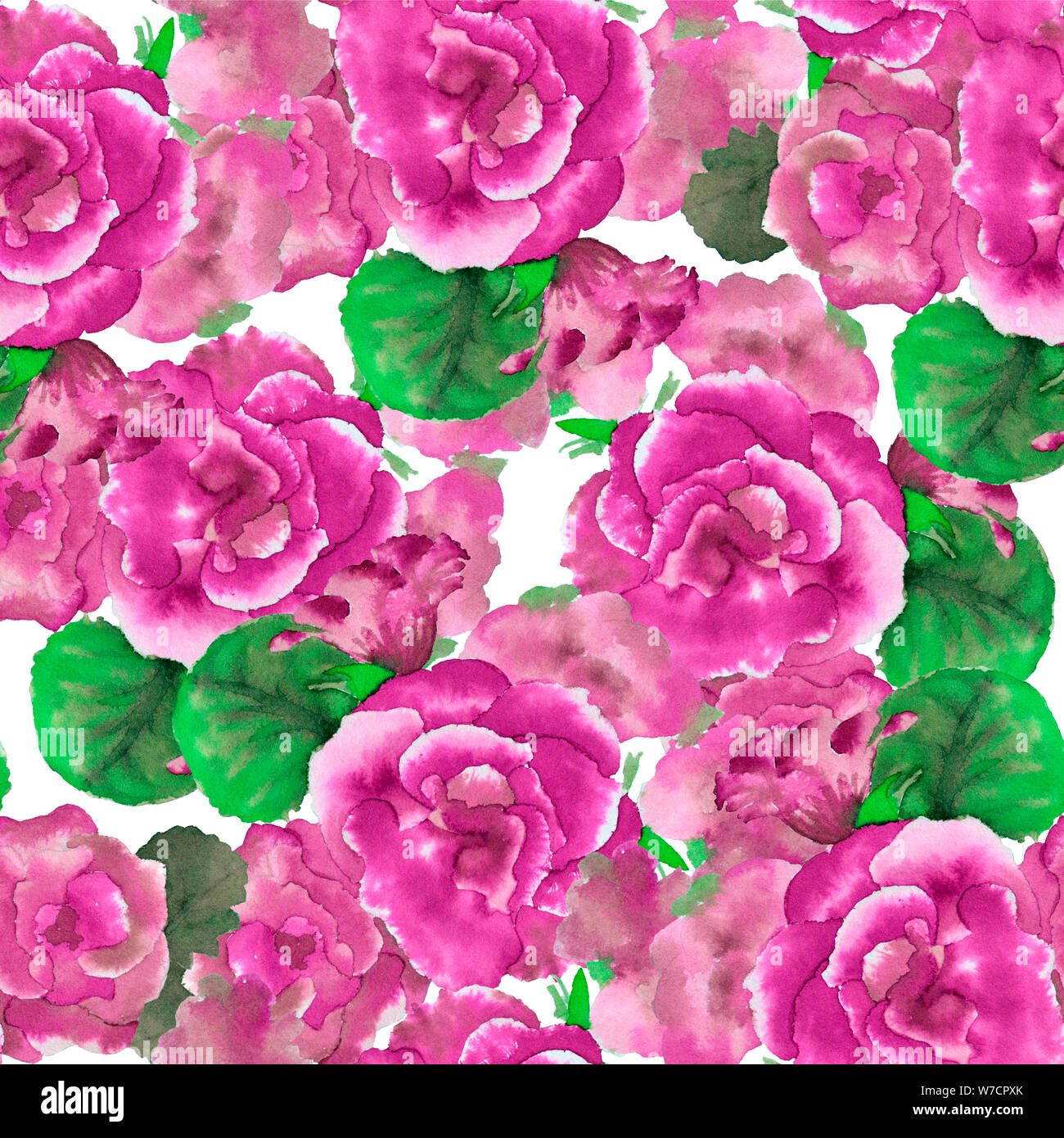 Modèle sans couture avec de grandes fleurs Aquarelle par gloxinia Banque D'Images