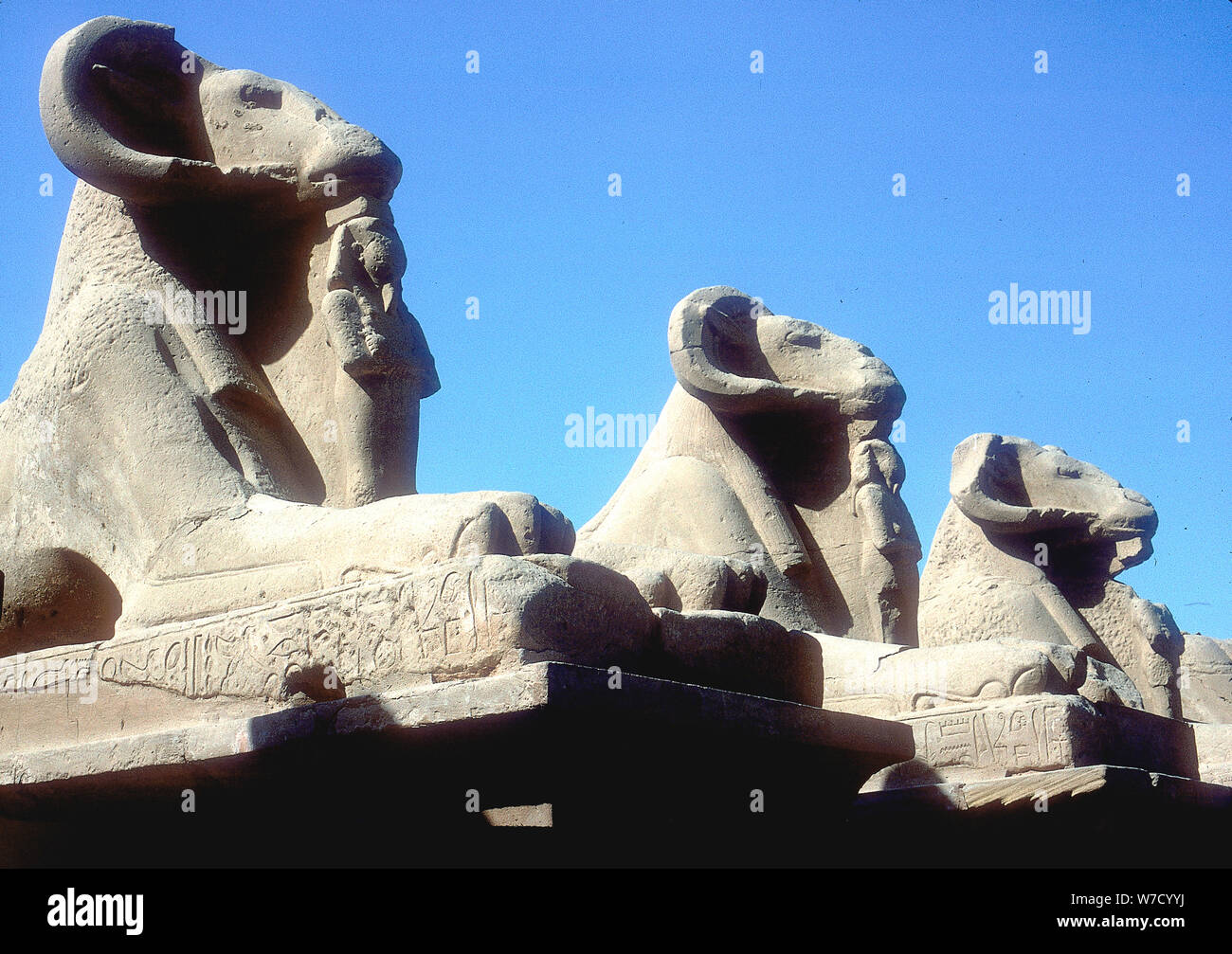 Sphinx à tête de bélier, Temple d'Amon, Karnak, Egypte. Artiste : Inconnu Banque D'Images