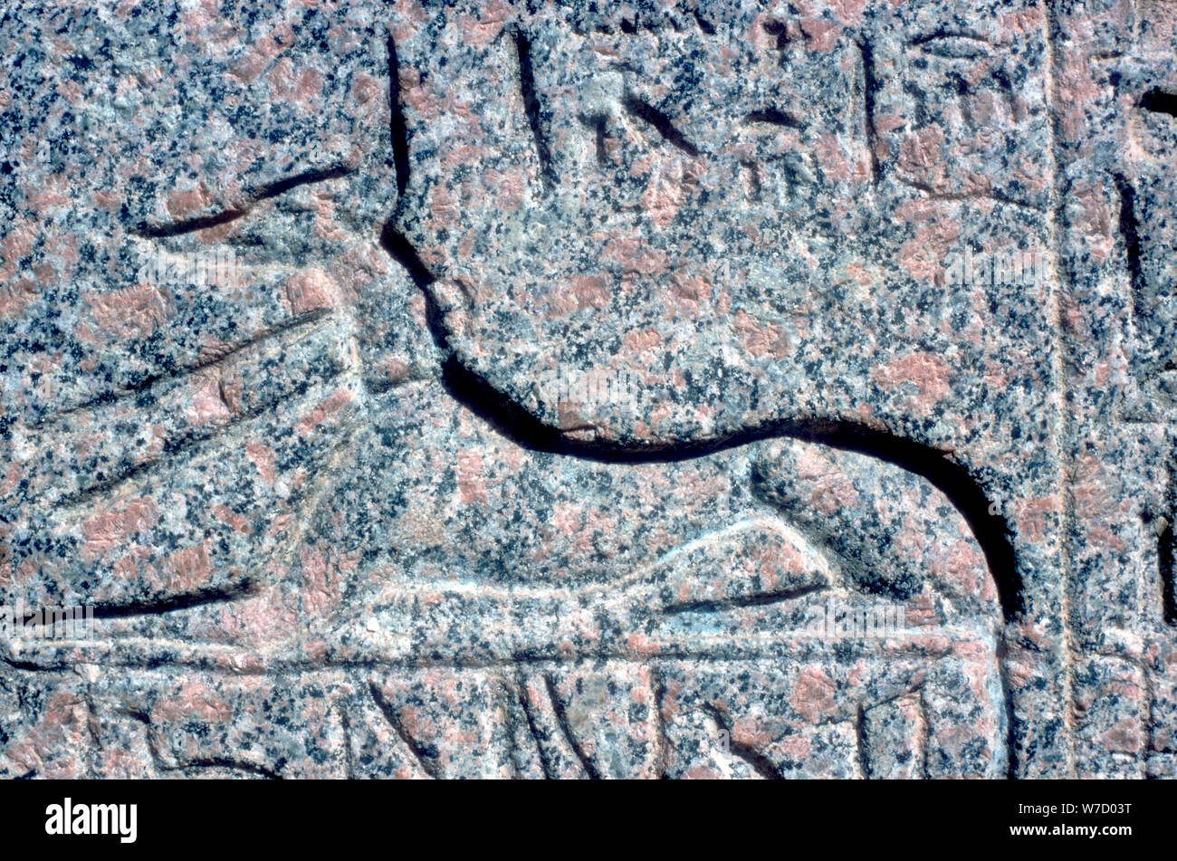 Détail des secours sur sarcophage en granit d'Anubis, Memphis, l'Égypte, Moyen Empire période. Artiste : Inconnu Banque D'Images