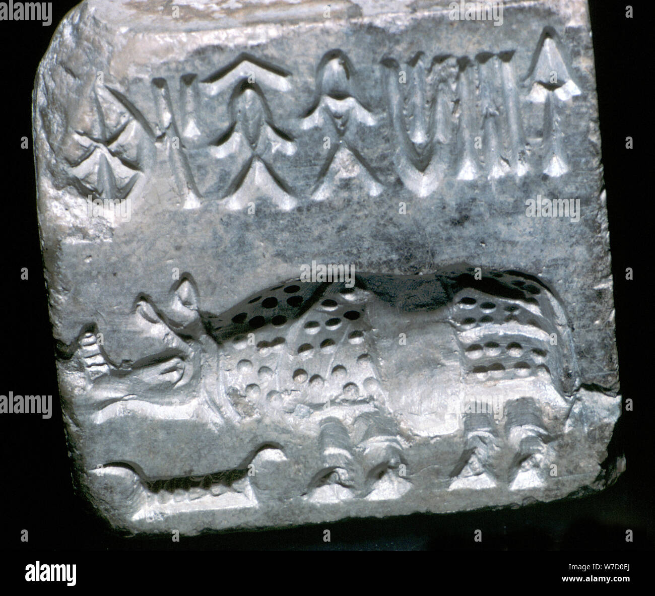 Joint de stéatite avec Rhinocéros, vallée de l'Indus, Mohenjo-Daro, 2500 - 2000 avant J.-C.. Artiste : Inconnu Banque D'Images