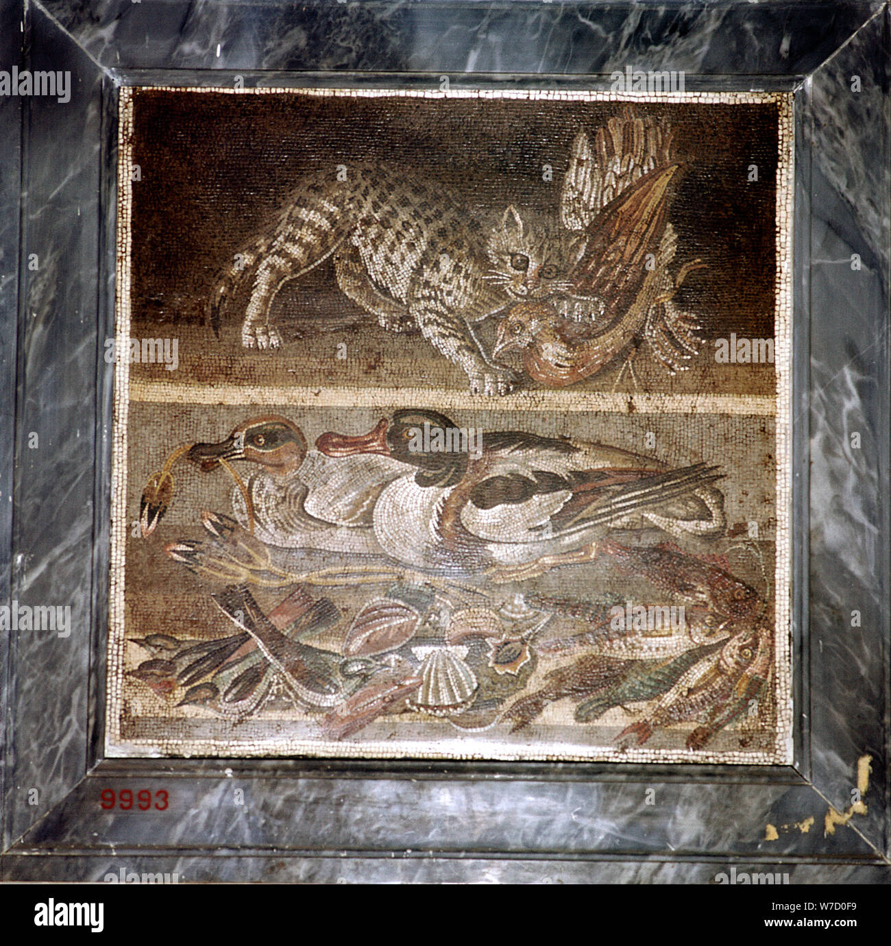 Mosaïque romaine d'un chat avec des canards, Pompéi, Italie. Artiste : Inconnu Banque D'Images