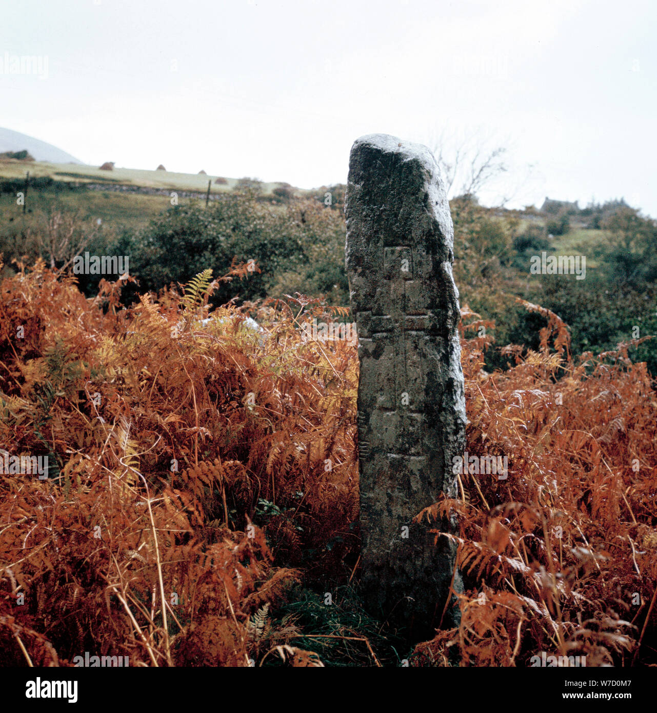 La pierre ogham, Dromkeare inscrit, Co.Kerry, Ireland. Artiste : Inconnu Banque D'Images