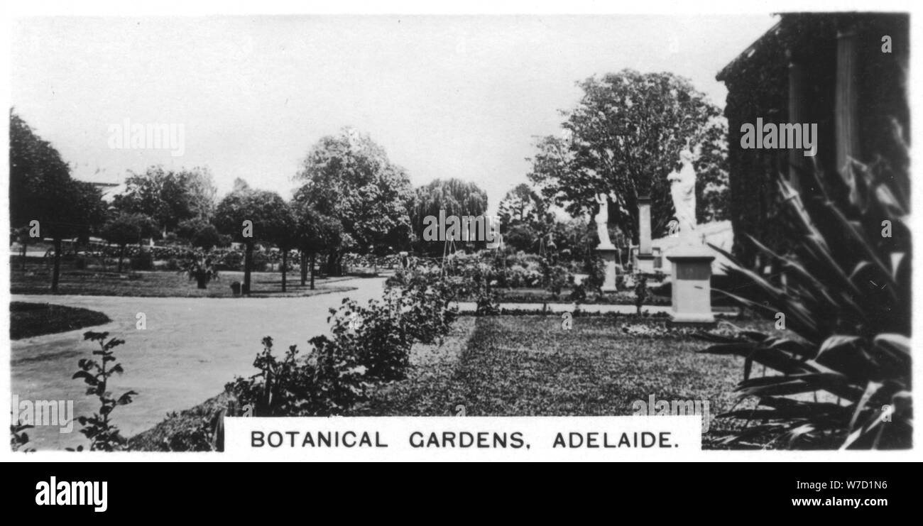 Jardins botaniques, Adelaide, Australie, 1928. Artiste : Inconnu Banque D'Images