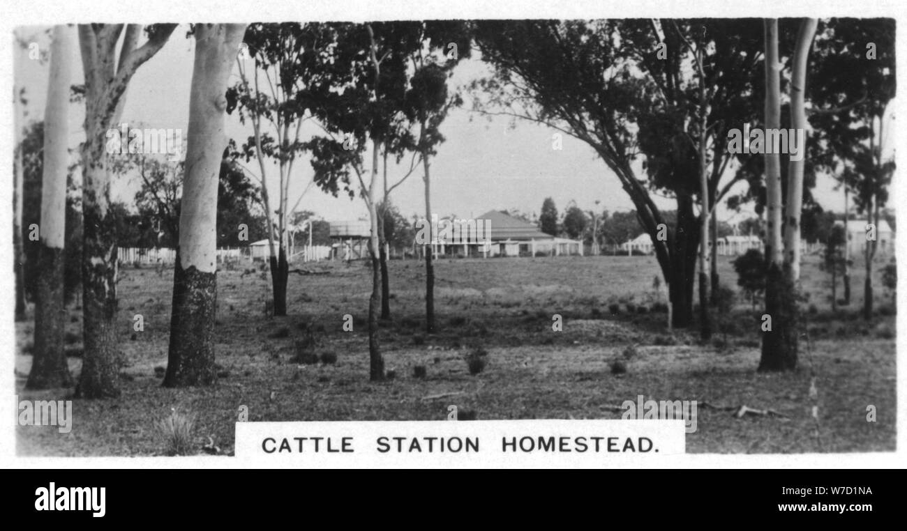 Cattle station homestead, Australie, 1928. Artiste : Inconnu Banque D'Images