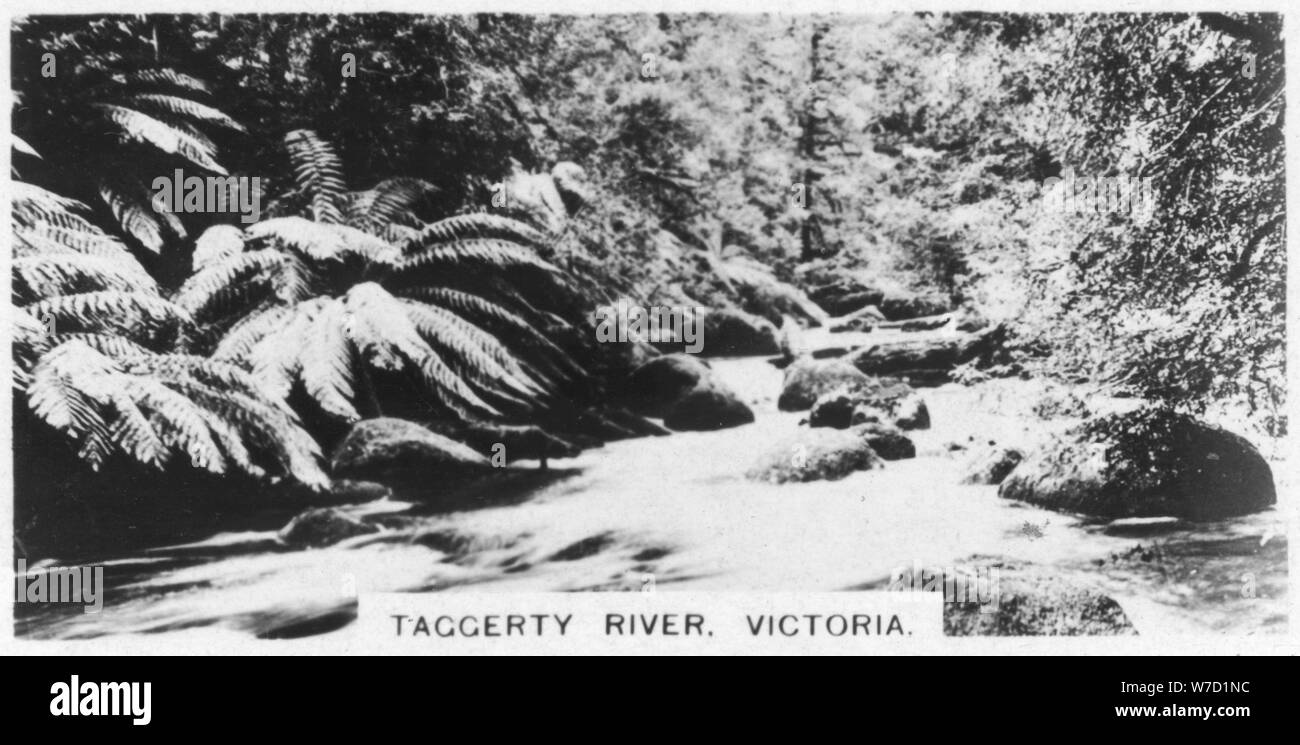 Rivière Taggerty, Victoria, Australie, 1928. Artiste : Inconnu Banque D'Images