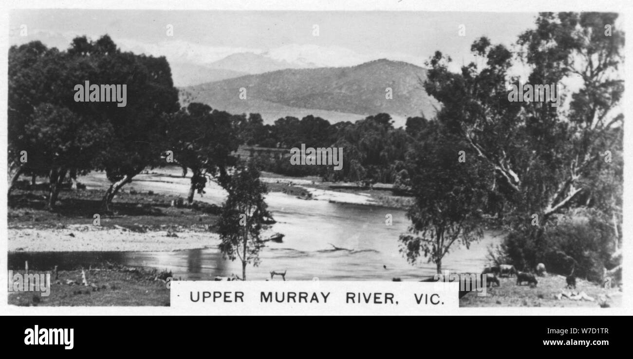 La Murray River, Victoria, Australie, 1928. Artiste : Inconnu Banque D'Images