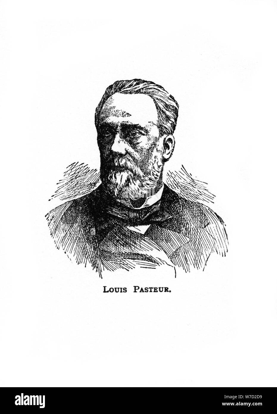Louis Pasteur, microbiologiste français du xixe siècle et chimiste, (20ème siècle). Artiste : Inconnu Banque D'Images