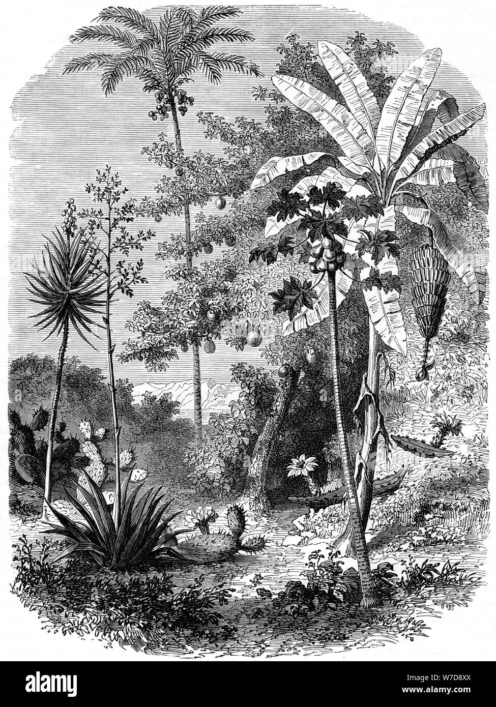 'Vue de l'espagnol, le Guatemala", 1877. Artiste : Inconnu Banque D'Images