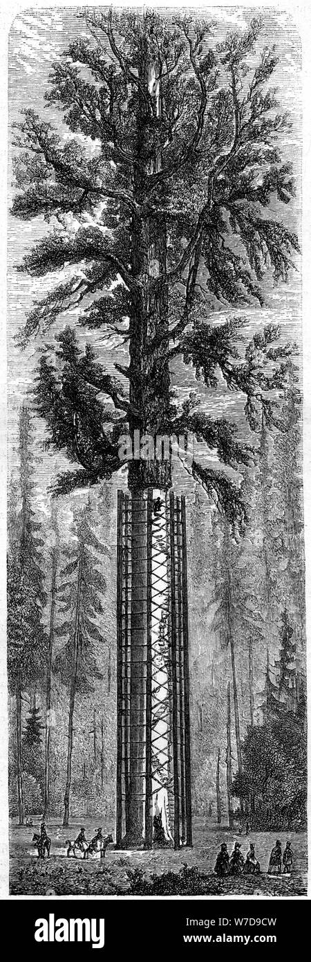 "Yosemite National Park", en Californie, 19e siècle.Artiste : Paul Huet Banque D'Images