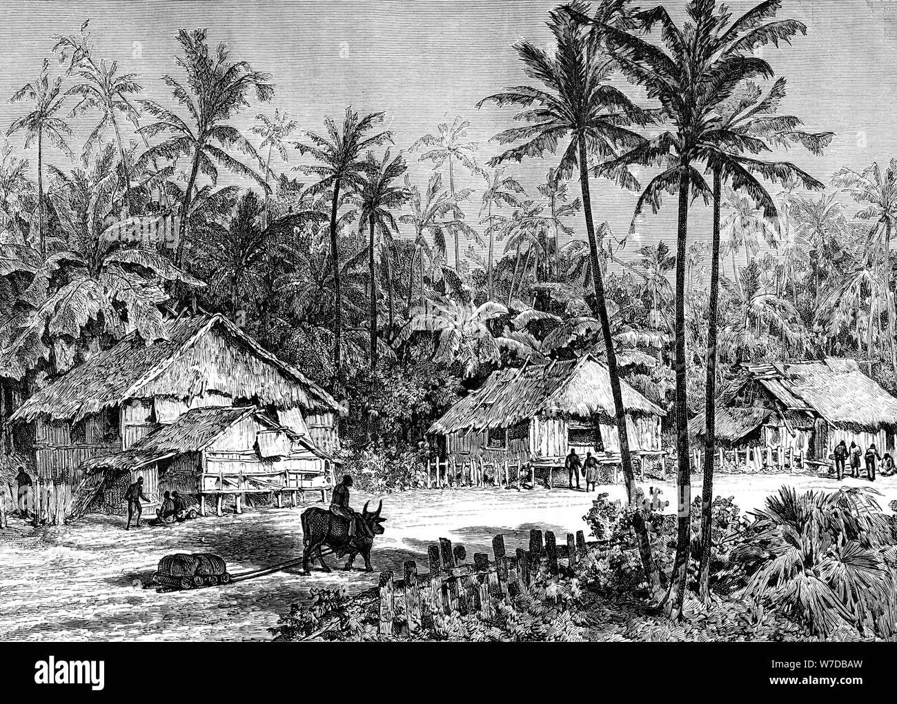 Negritos, Malaisie, 19e siècle. Artiste : Dosso Banque D'Images