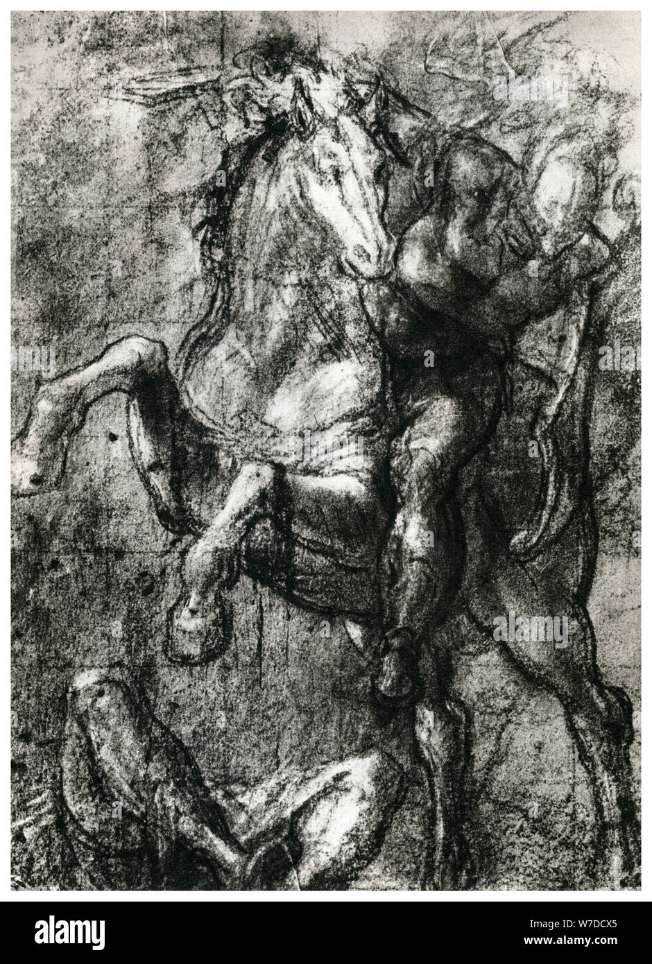 'Cavalier', c1565, (1937). Artiste : Titien Banque D'Images