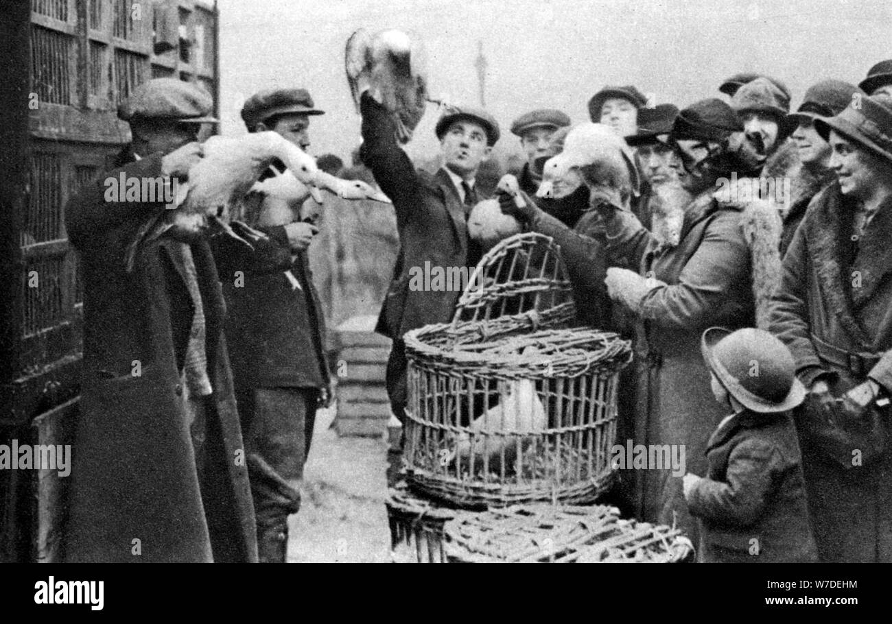 Les marchands de volailles, Caledonian Market, Londres, 1926-1927. Artiste : Inconnu Banque D'Images