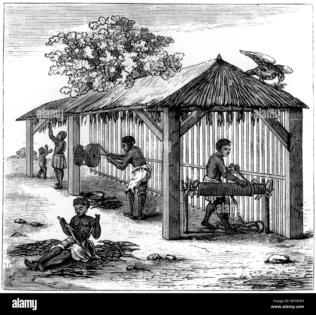 Préparation du tabac, 1873. Artiste : Inconnu Banque D'Images