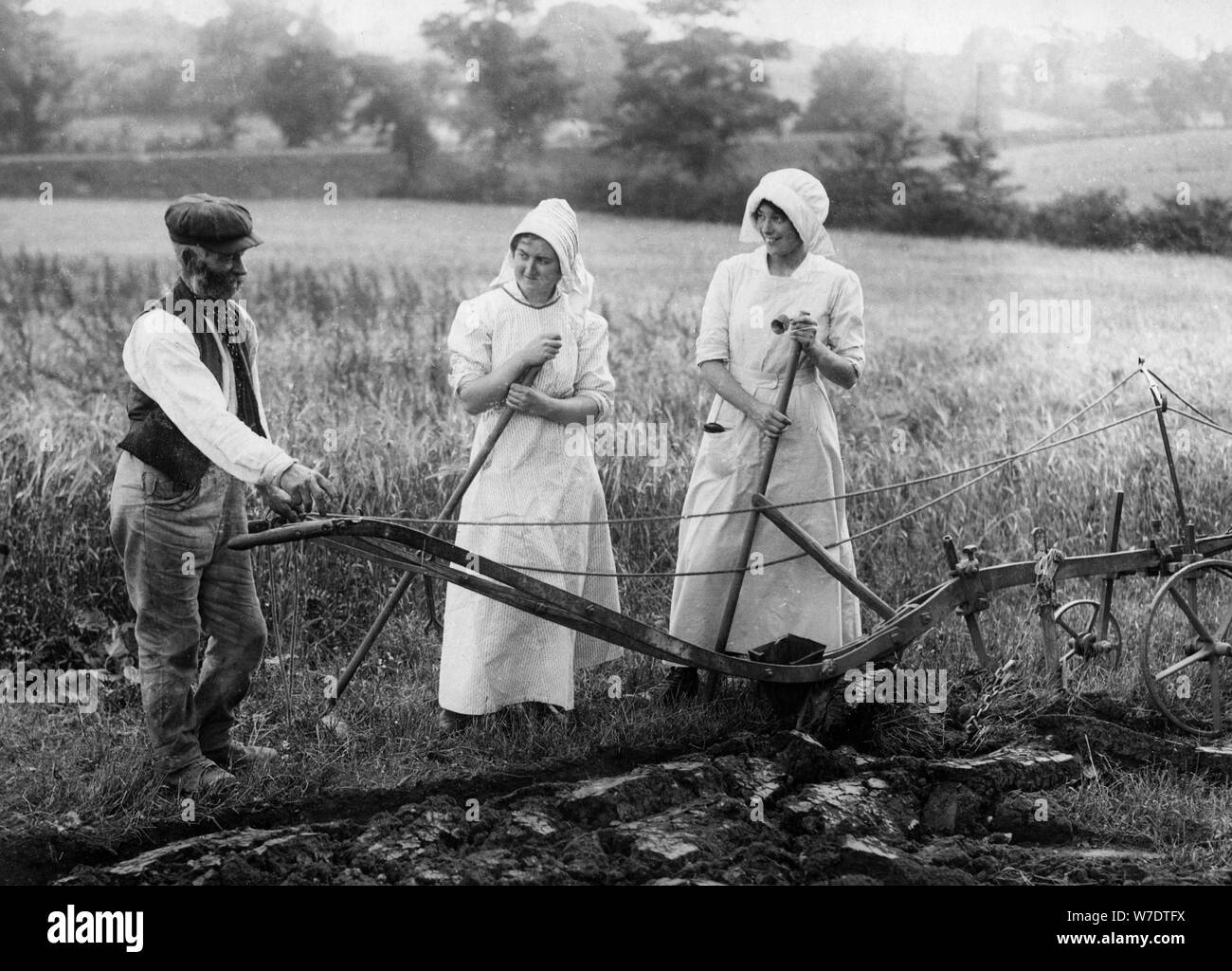 Agriculture du début des années 1900 Banque de photographies et d ...