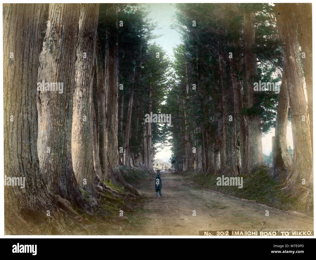 Imaichi Road à Nikko, Japon, début du xxe siècle( ?). Artiste : Inconnu Banque D'Images