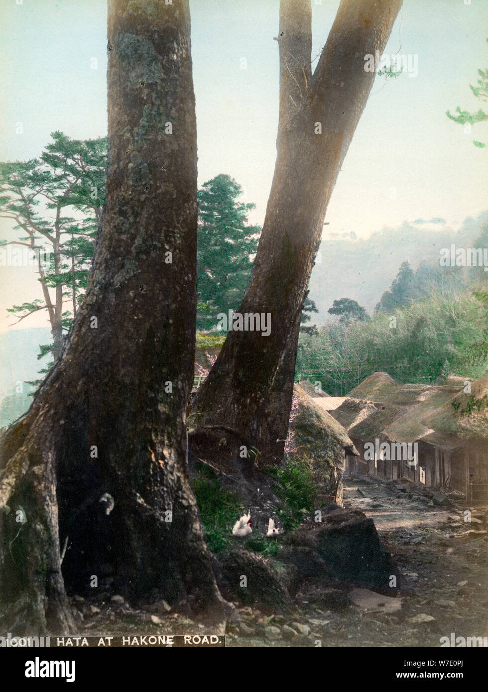 Hata Hakone au Japon, la route, au début du xxe siècle( ?). Artiste : Inconnu Banque D'Images