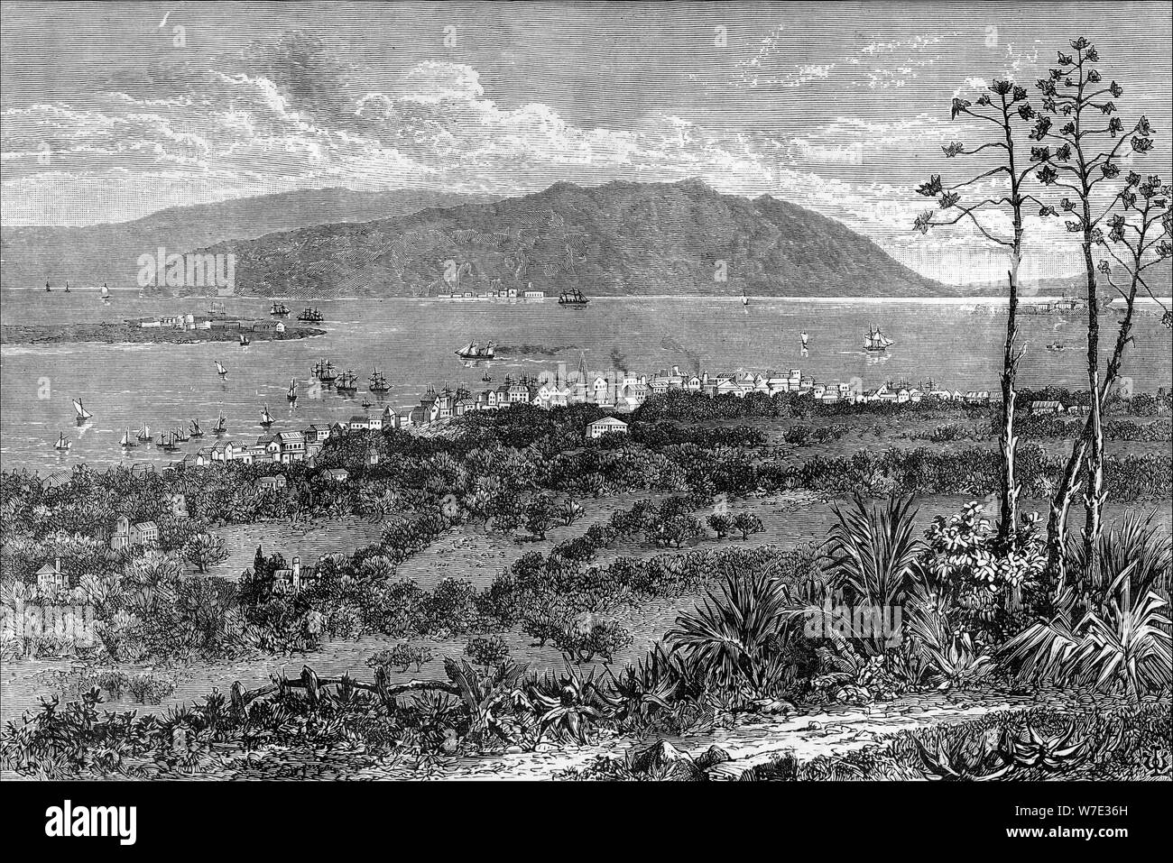 Le port de Kingston, Jamaïque, c1880. Artiste : Inconnu Banque D'Images
