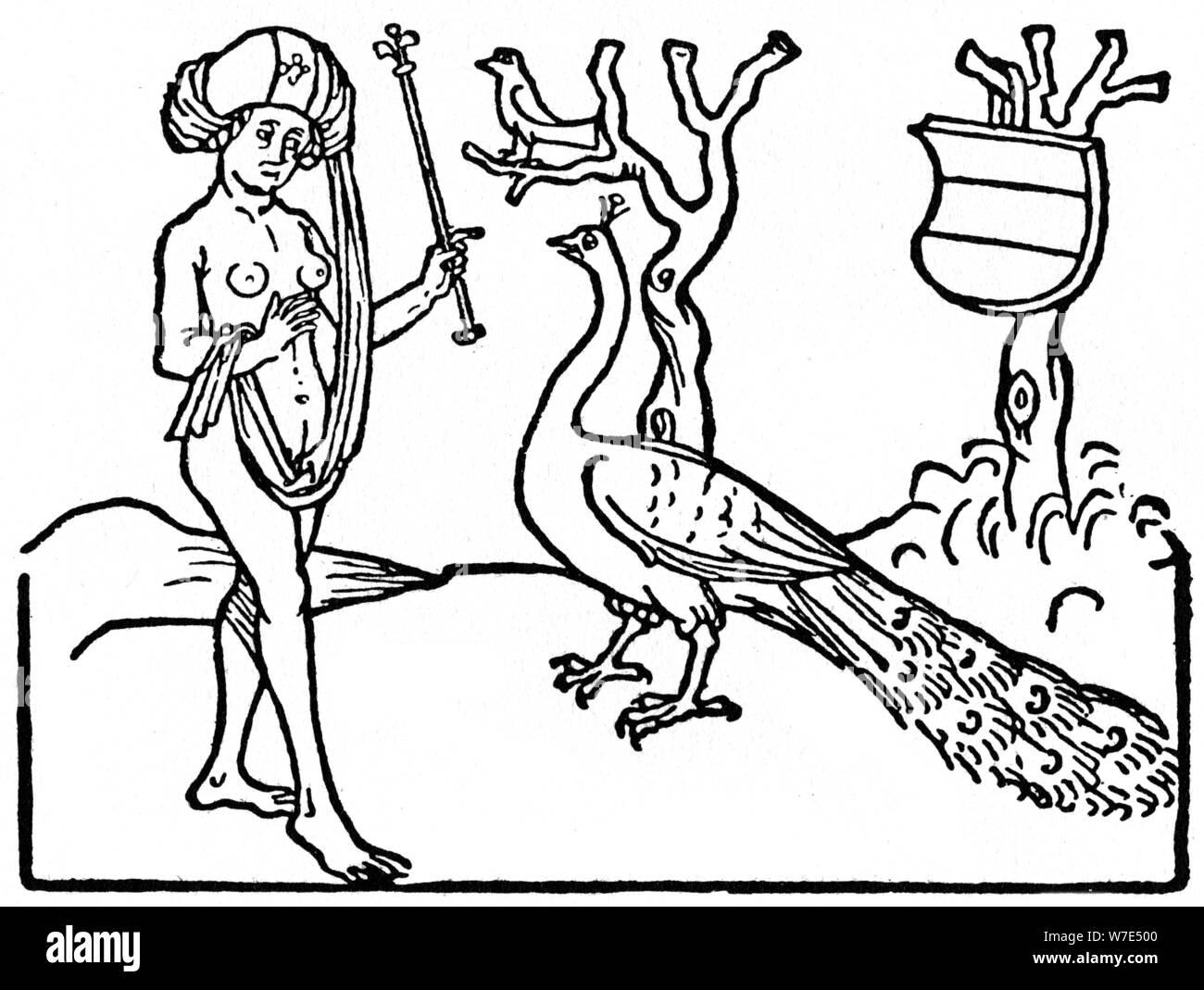 Femme et Peacock, 1475 (1964). Artiste : Anon Banque D'Images