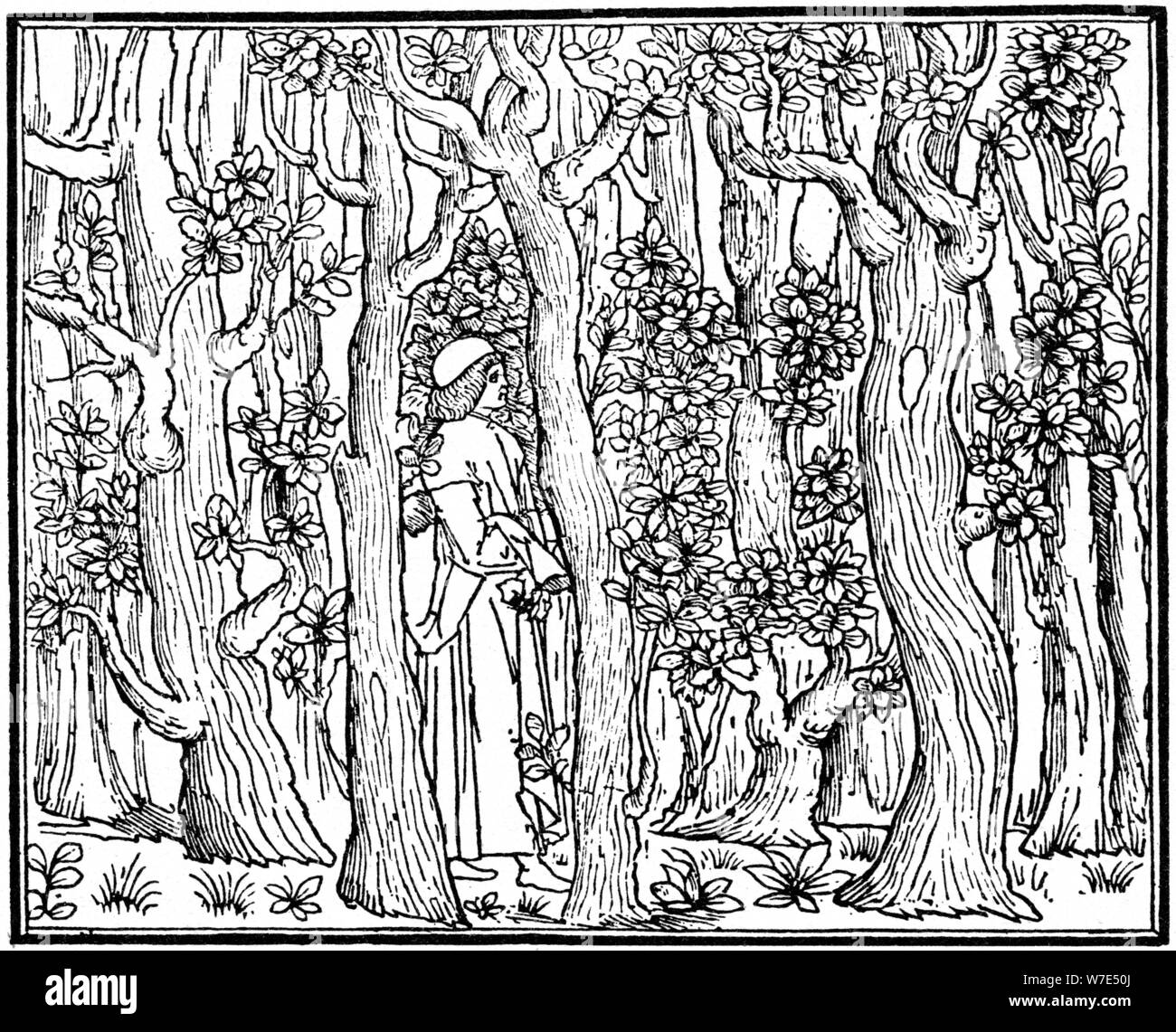 L'amant dans le bois, 1499 (1964). Artiste : Anon Banque D'Images