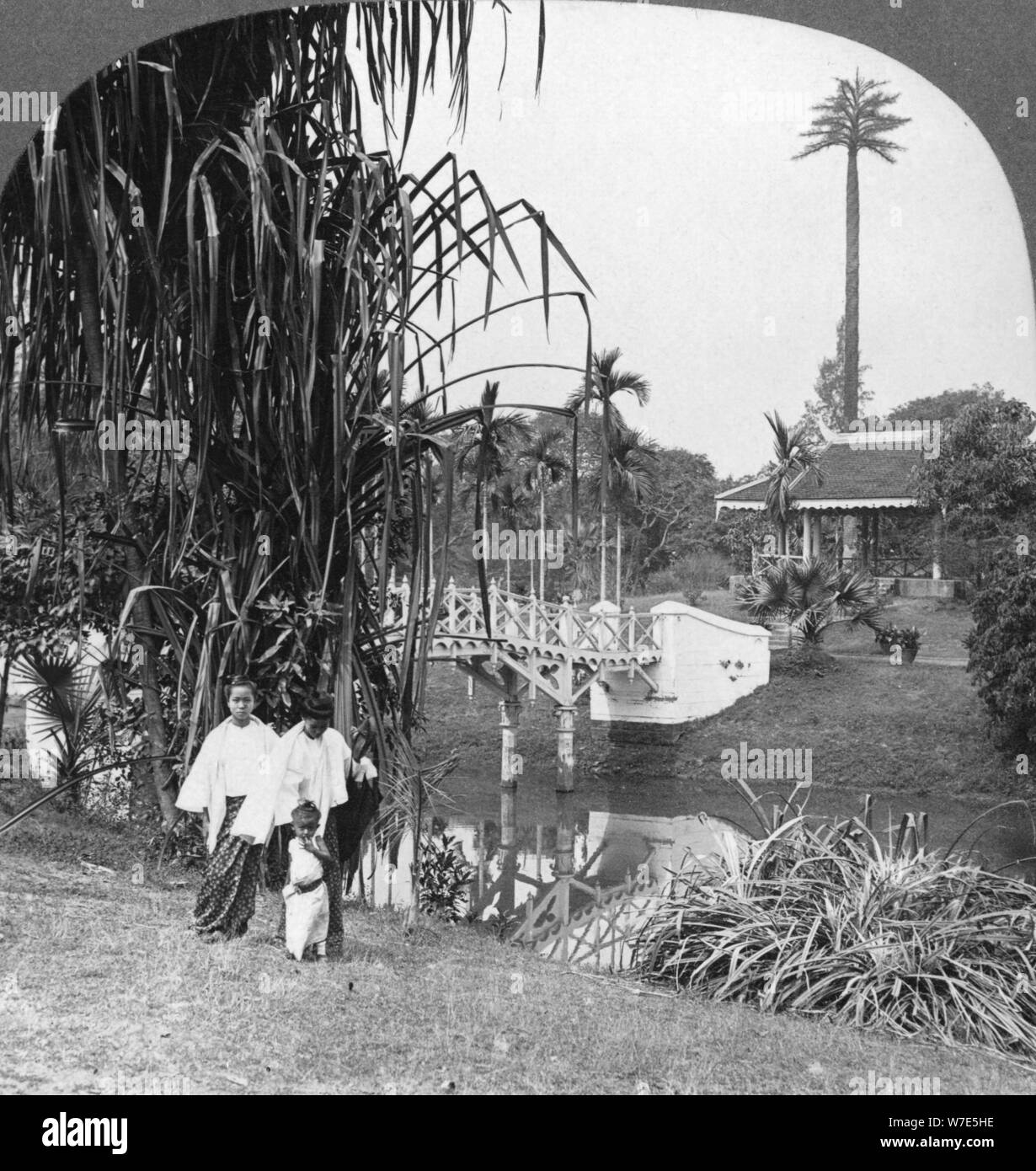 Un mot dans les jardins tropicaux de Rangoon, en Birmanie, en 1908. Artiste : Stéréo de Voyage Banque D'Images