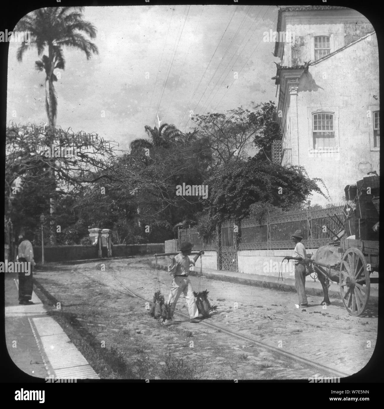 Scène de rue, Pernambuco, Brésil, fin du xixe ou début du xxe siècle. Artiste : Inconnu Banque D'Images