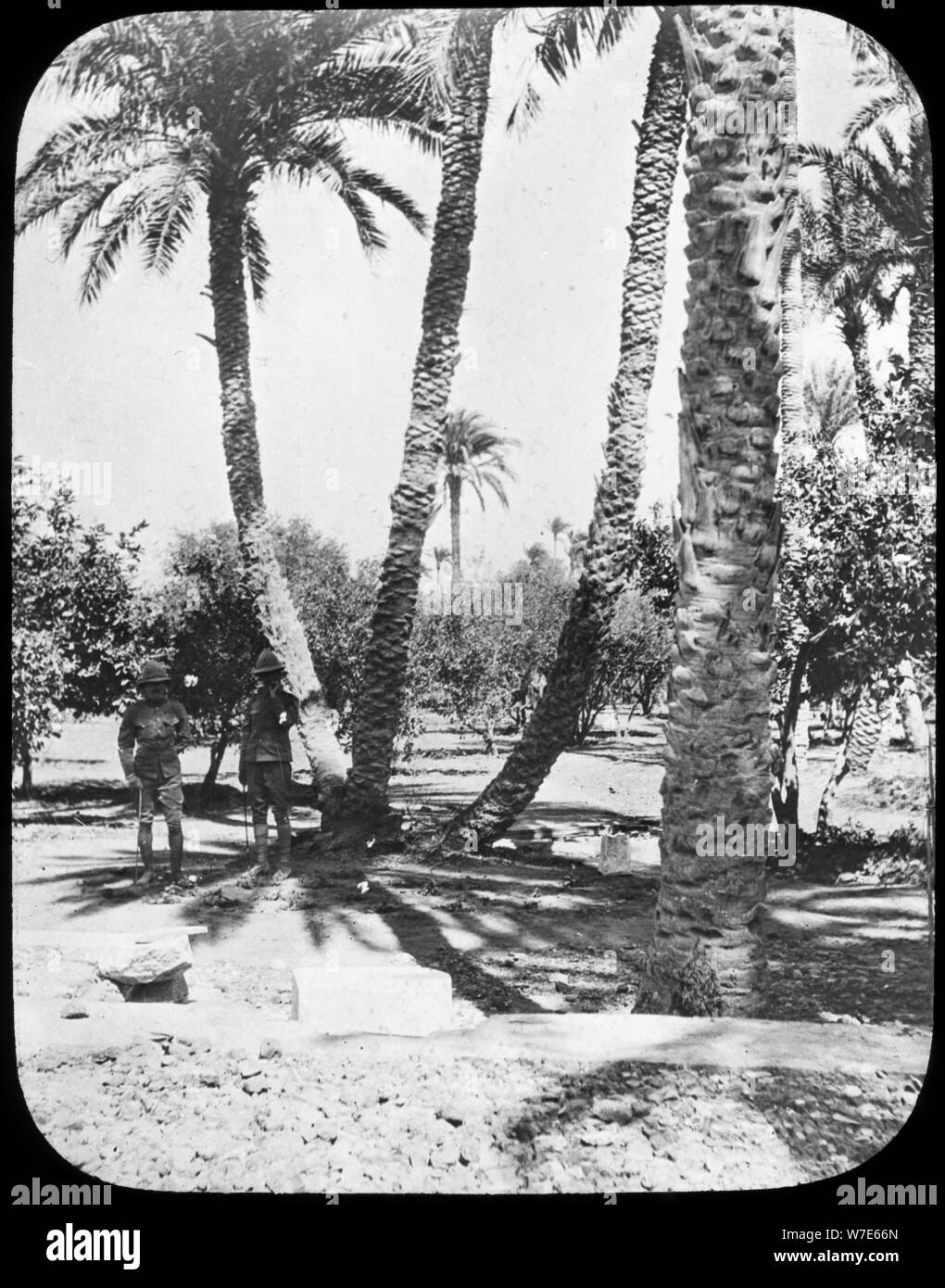 Le général Gordon's Garden, Khartoum, Soudan, c1890. Artiste : Newton & Co Banque D'Images