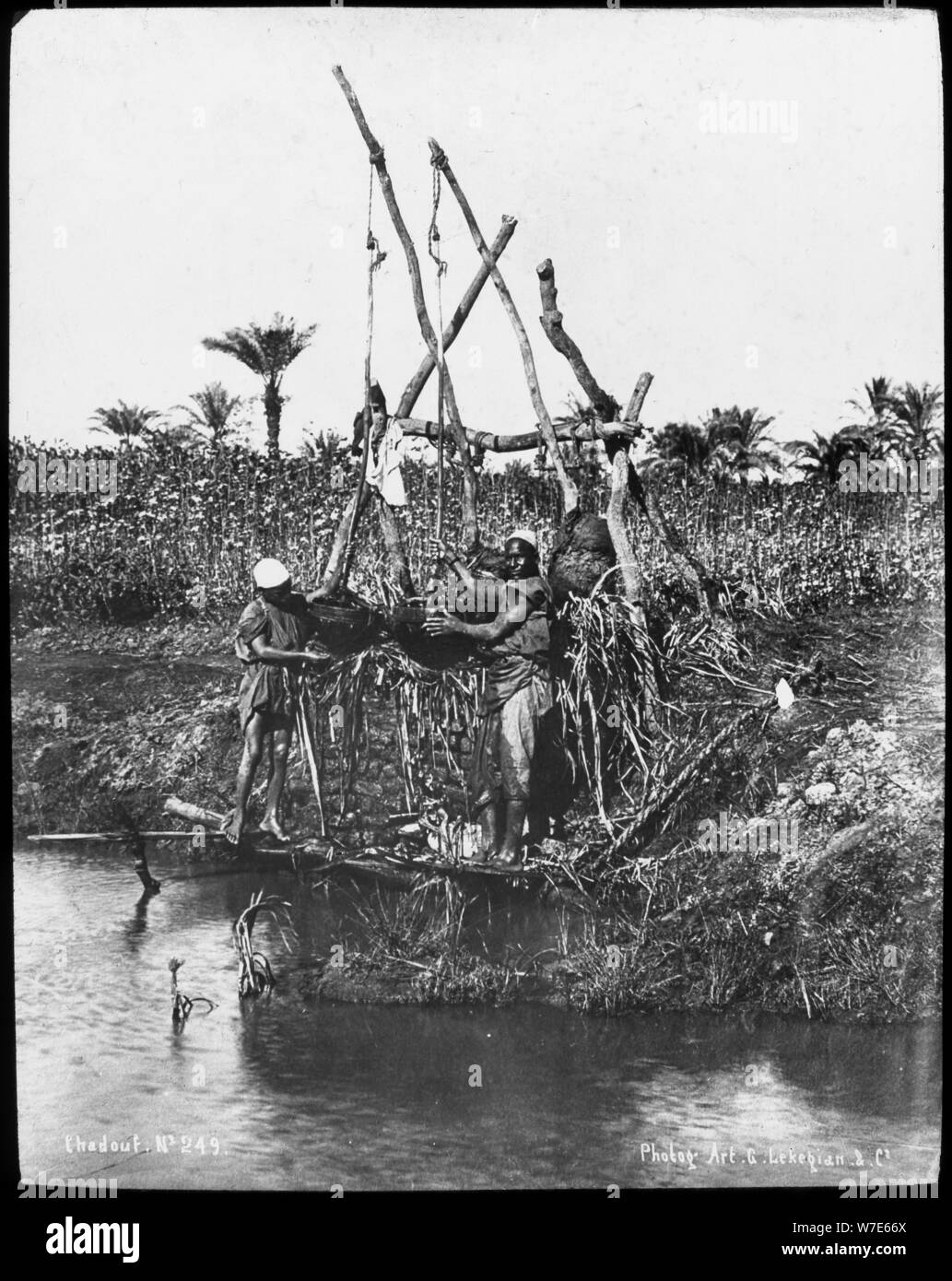 Un shaduf sur le Nil, Égypte, c1890. Artiste : G Lekegian Banque D'Images