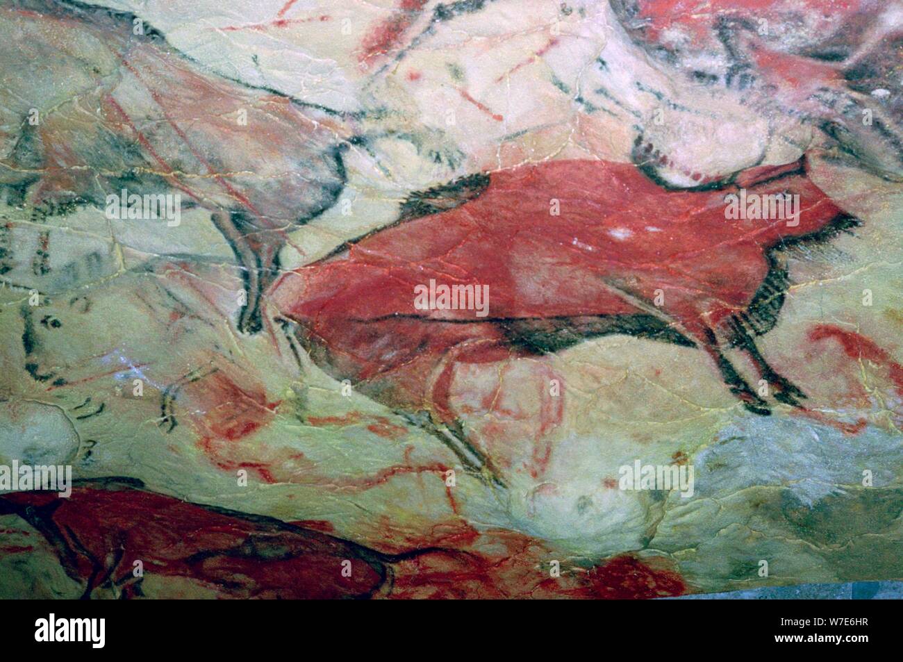 Une peinture rupestre paléolithique d'Aurochs. Banque D'Images