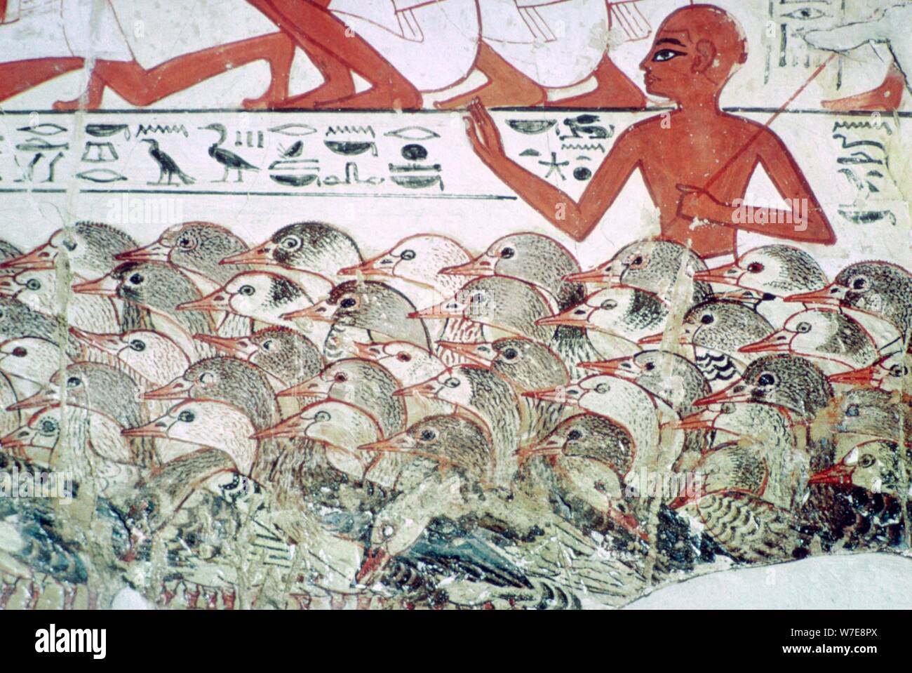 Compter les oies : fragment d'une peinture murale de la tombe de Nebamun, Thèbes, Egypte, c1350 BC. Artiste : Inconnu Banque D'Images