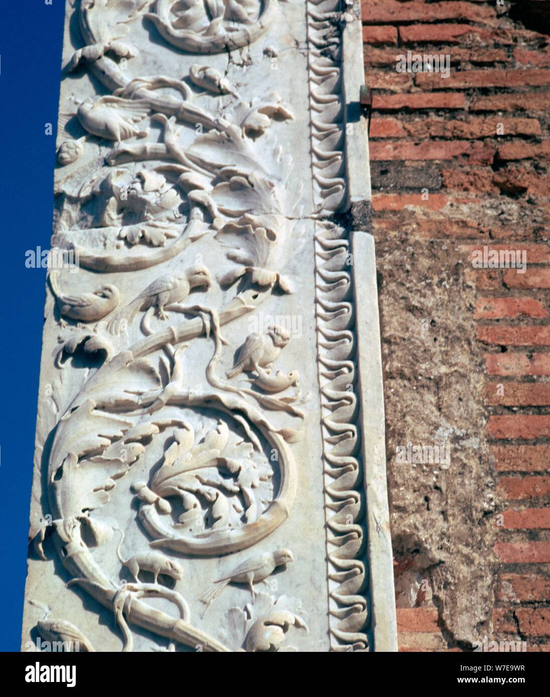 Détail de vigne-morte sur la construction d'Eumachia, Pompéi, 1er siècle Artiste : Inconnu Banque D'Images