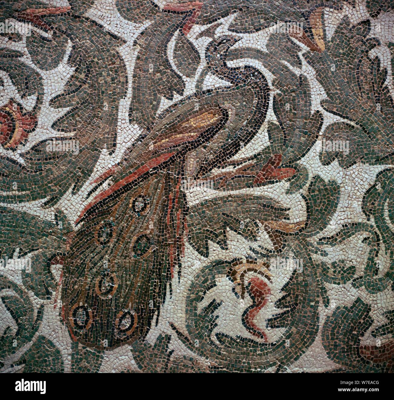 Mosaïque romaine d'un paon dans le feuillage, 3e siècle. Artiste : Inconnu Banque D'Images