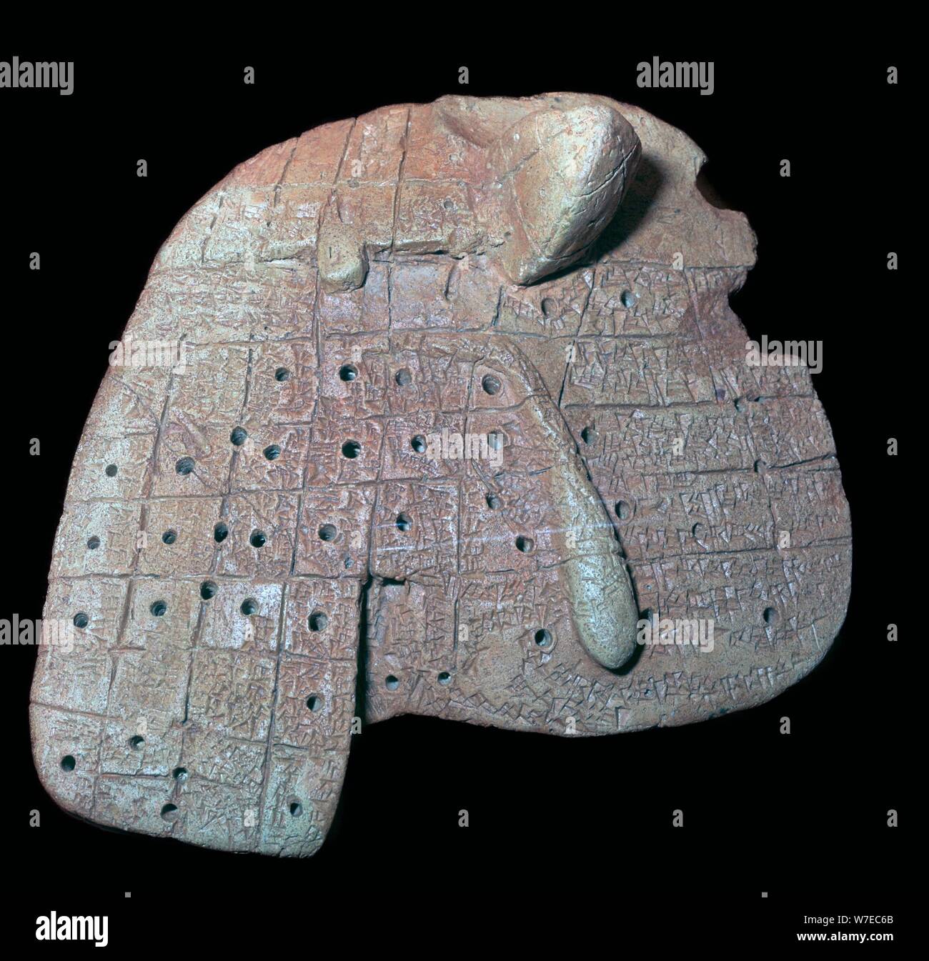 Modèle en argile d'un foie de mouton, ancien babylonien, c1900-1600 BC.  Probablement de Sippar, au sud de l'Iraq. Artiste : Inconnu Photo Stock -  Alamy
