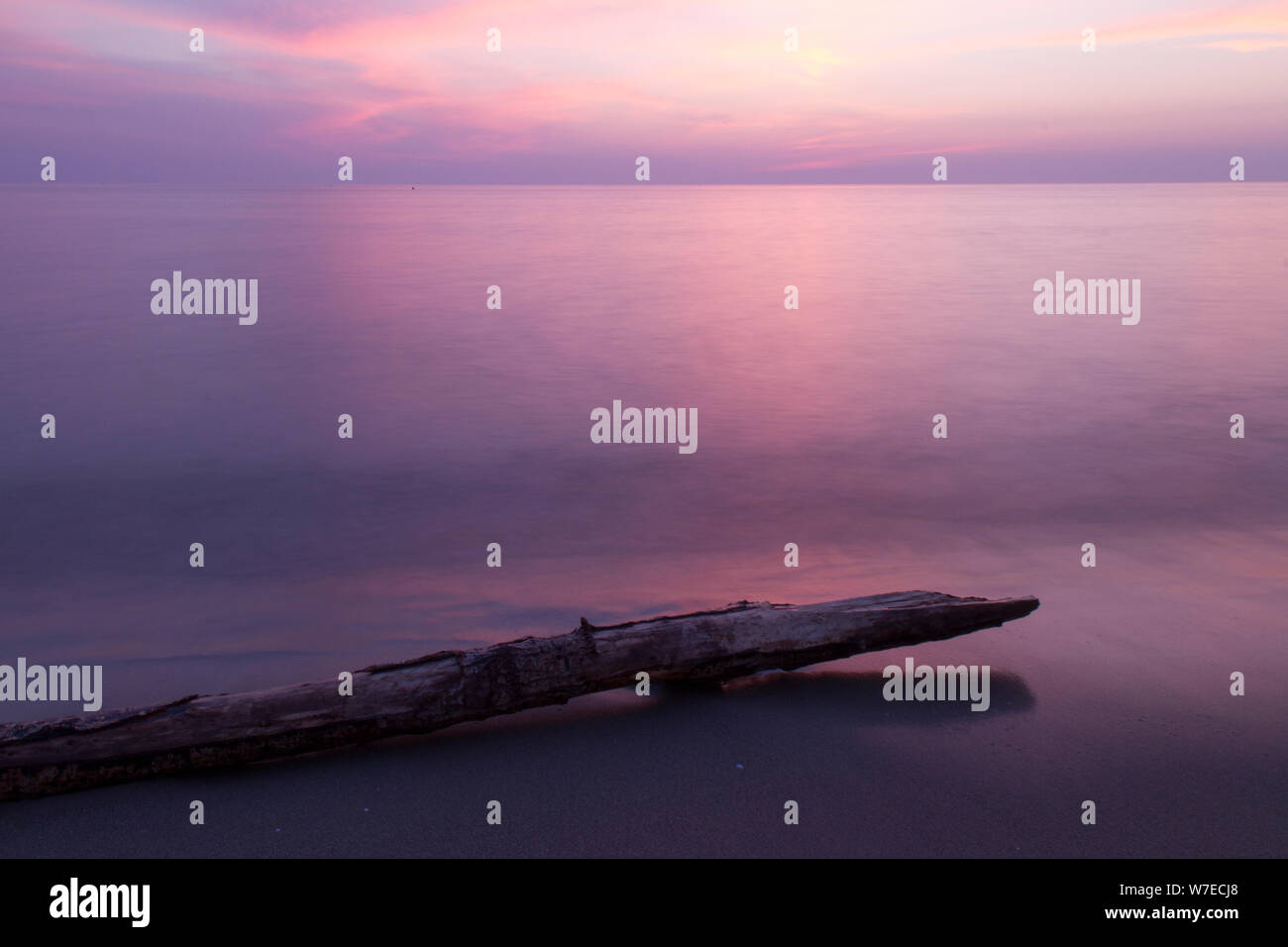 Paysage : l'Italie, sur la plage au coucher du soleil avec tronc d'arbre Banque D'Images