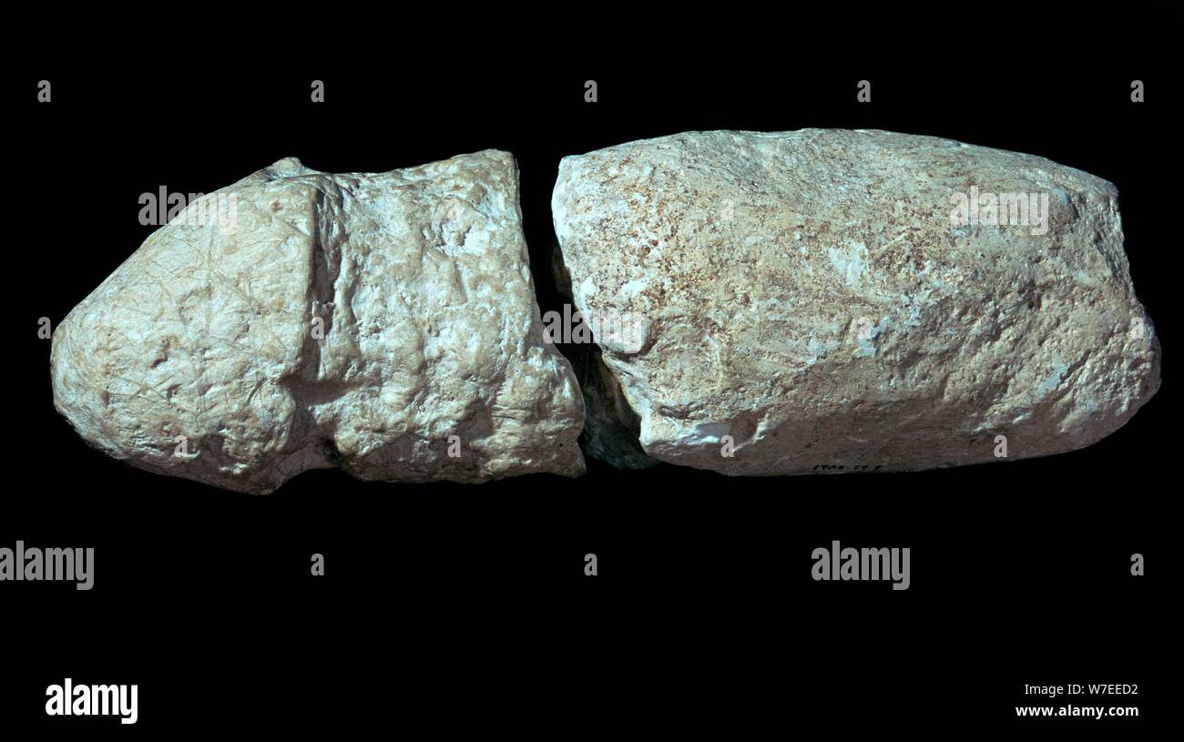 Craie sculptées phallus. Artiste : Inconnu Banque D'Images