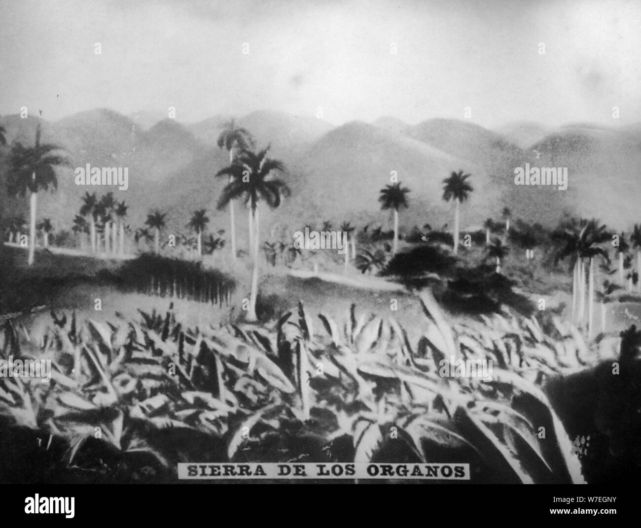 La Sierra de Los Organos, (1896), années 1920. Artiste : Inconnu Banque D'Images