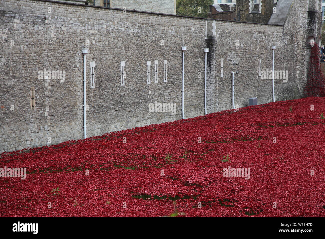 'Blood a balayé les terres et les mers de Red', la Tour de Londres, 2014. Artiste : Sheldon Marshall Banque D'Images