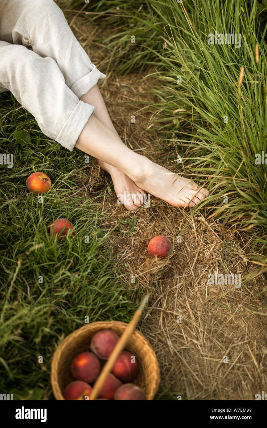 Traversé pieds nus d'une jeune femme du nord de l'Europe sur un chemin  d'herbe avec un panier de pêches bien mûres Photo Stock - Alamy