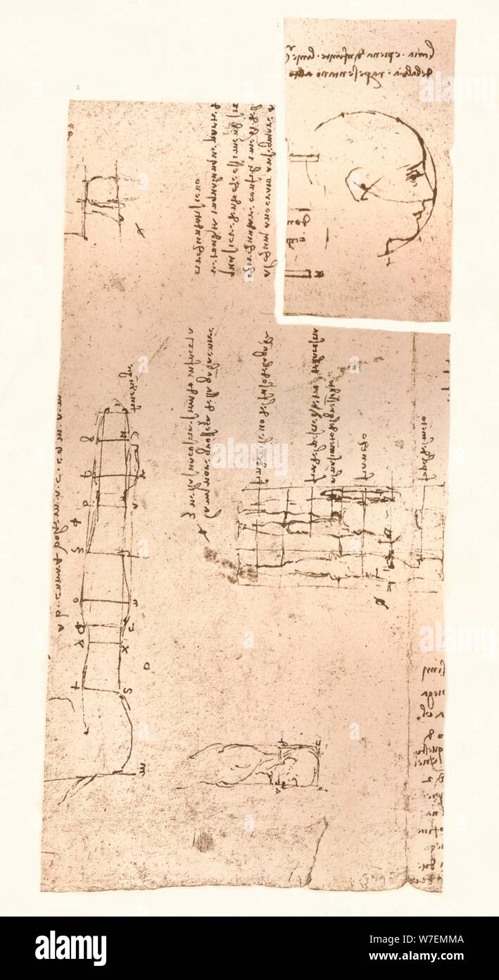 Deux dessins illustrant la théorie des proportions de la figure humaine, c1472-c1519 (1883). Artiste : Leonardo da Vinci. Banque D'Images