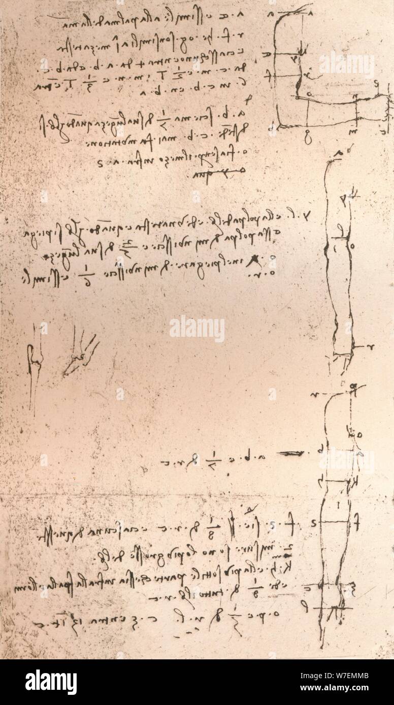 Dessin illustrant la théorie des proportions de la figure humaine, c1472-c1519 (1883). Artiste : Leonardo da Vinci. Banque D'Images