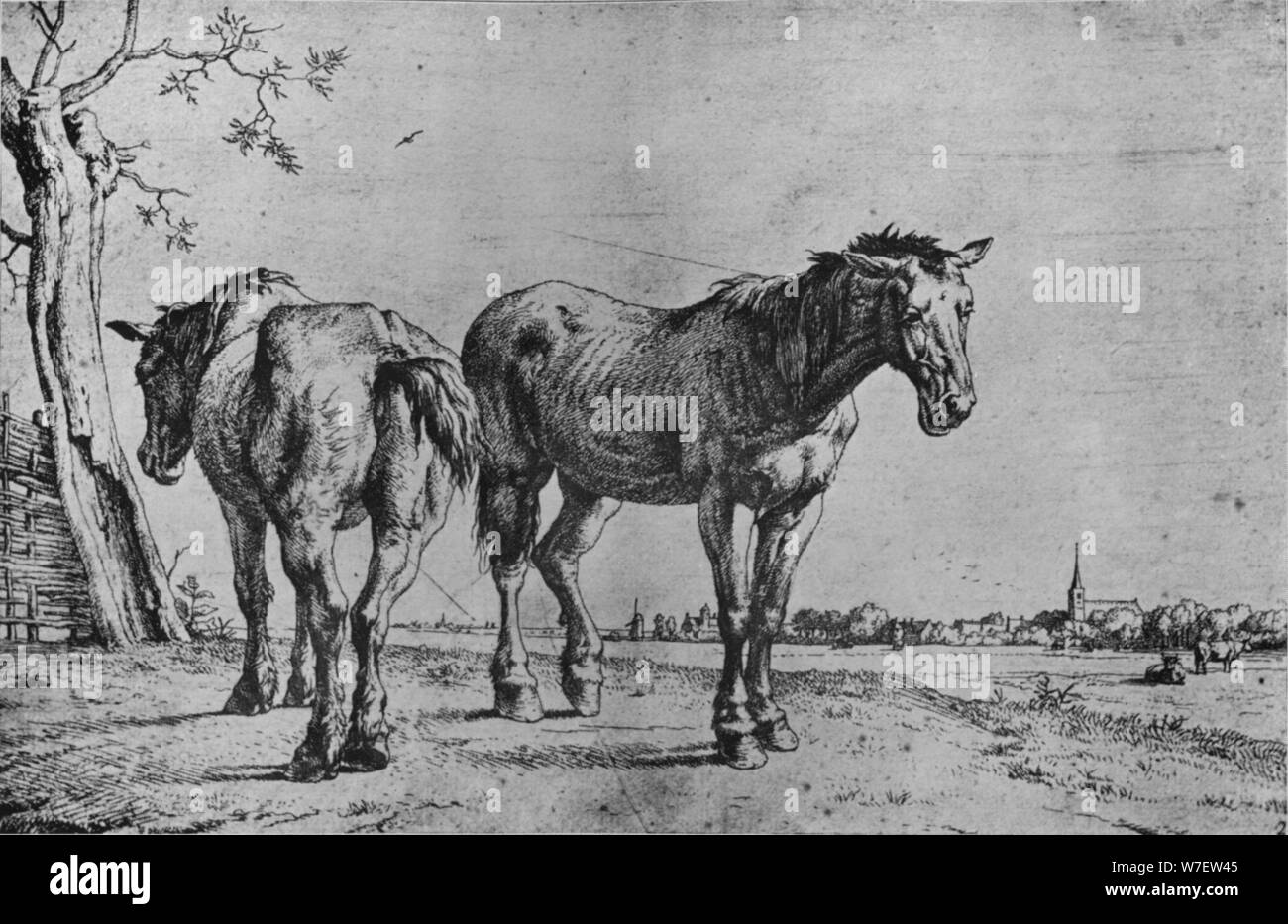 "Les deux chevaux de charrue', 1652. Artiste : Paulus Potter. Banque D'Images