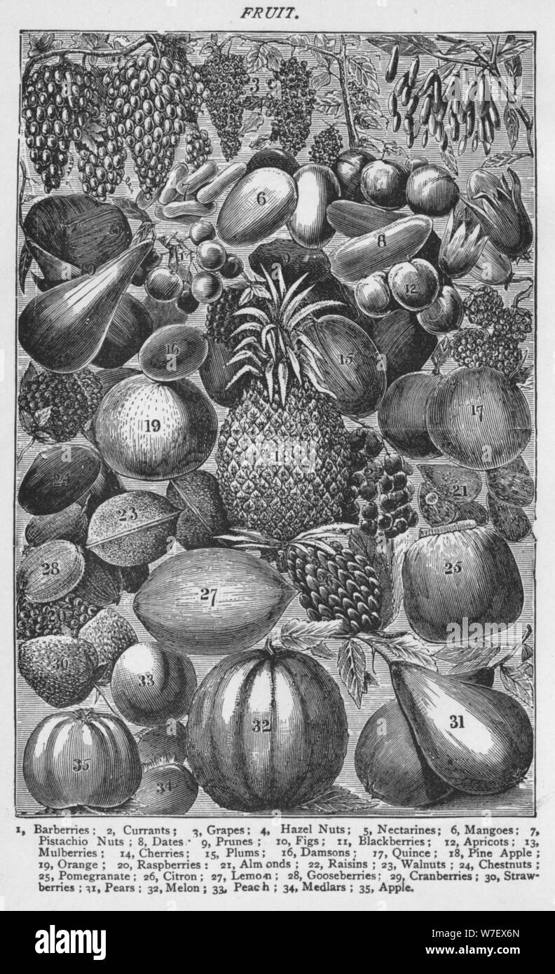 'Fruit', 1907, (1907). Artiste : Inconnu. Banque D'Images