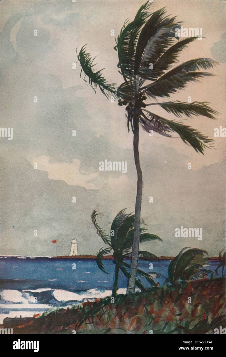 'Palmiers, Nassau", 1898, (1932). Artiste : Winslow Homer. Banque D'Images